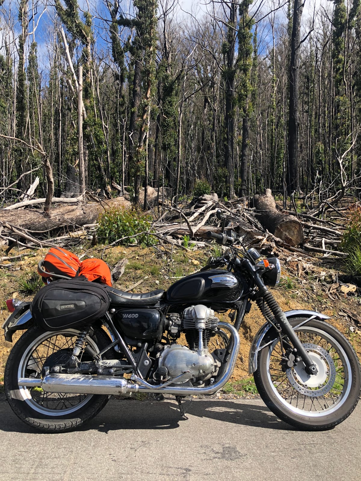 A classic motorcycle standing in a clearing among pale bare trees.