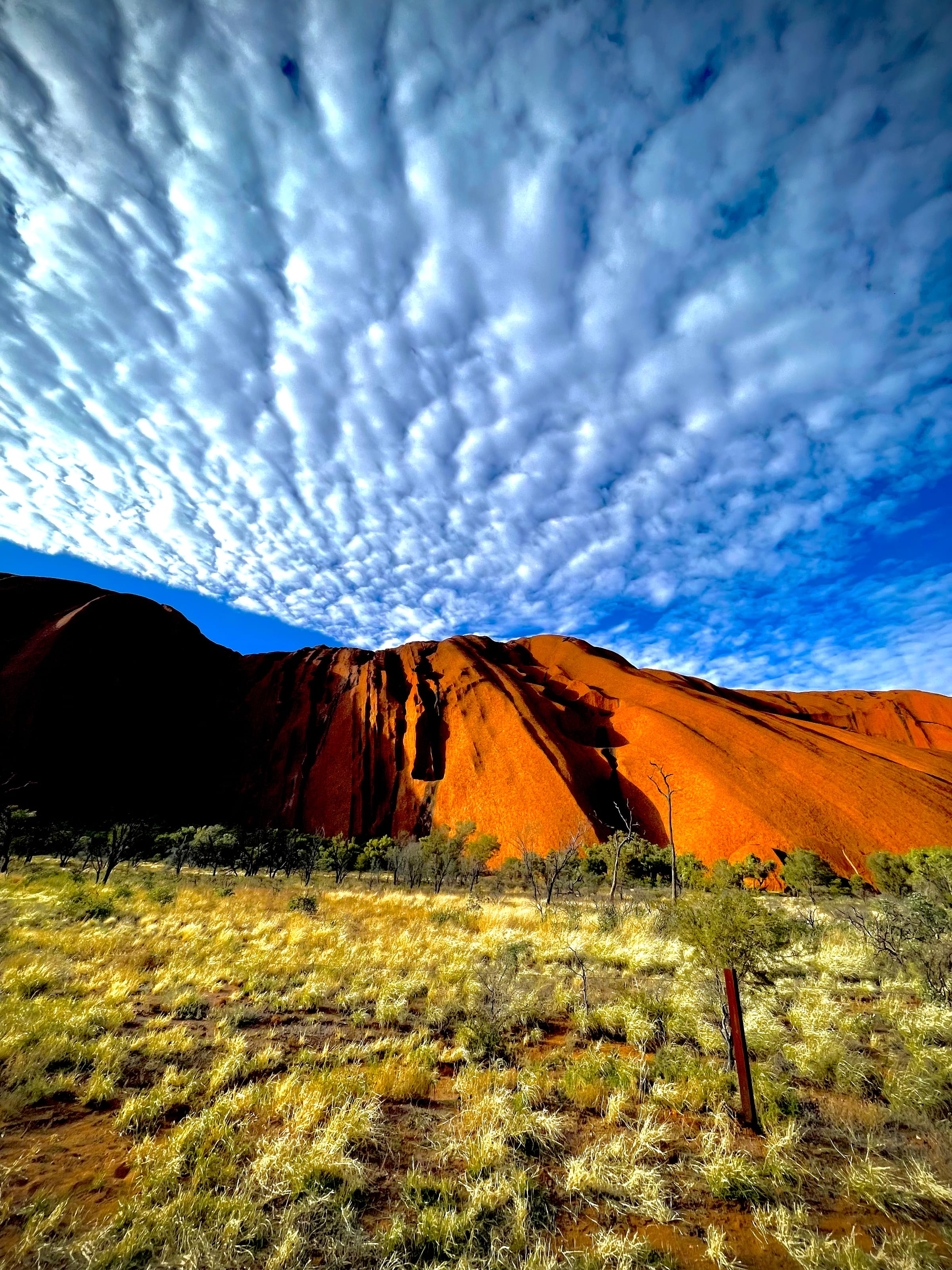 A rippled mackerel sky of high cloud over red rock and green desert growth.