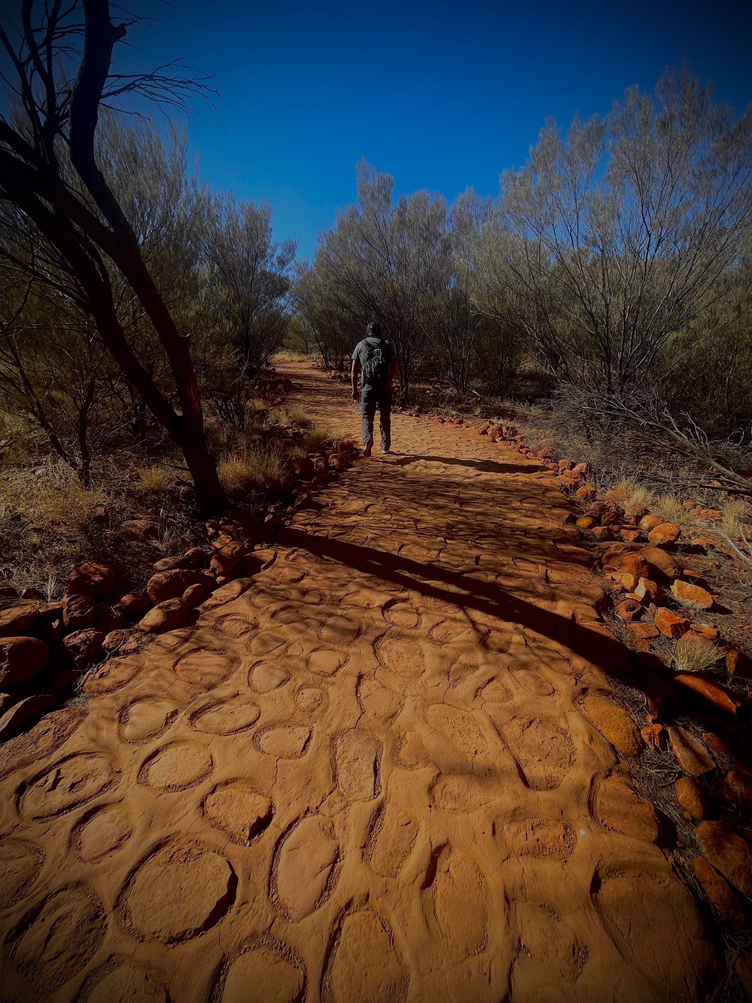 A red earthen walking path winding through desert scrub, a tiny distant figure on the trail.