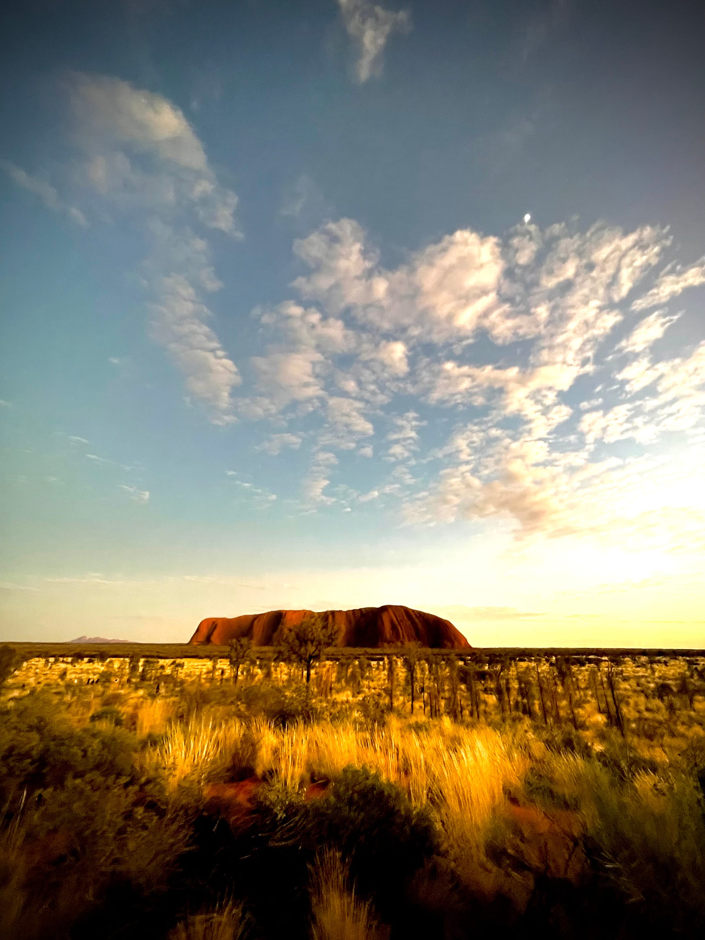 Golden desert grasses in the foreground giving way to a distant red rock under soft evening cloud.