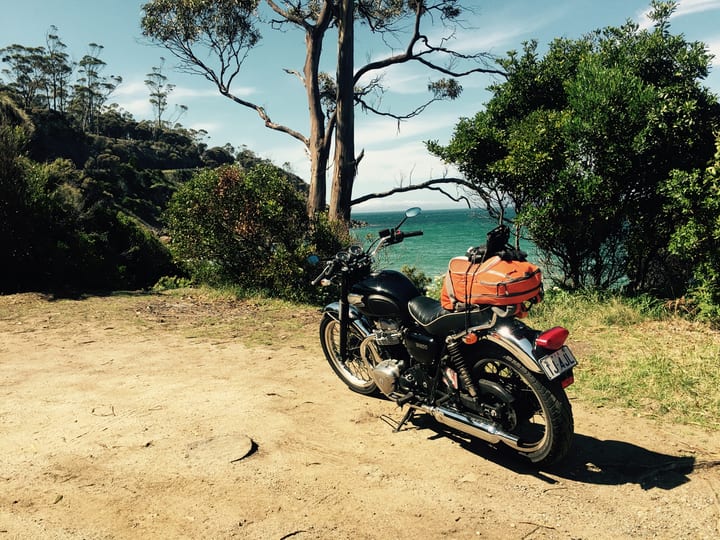 A motorcycle resting beneath a windswept tree on a grassy coastal headland.