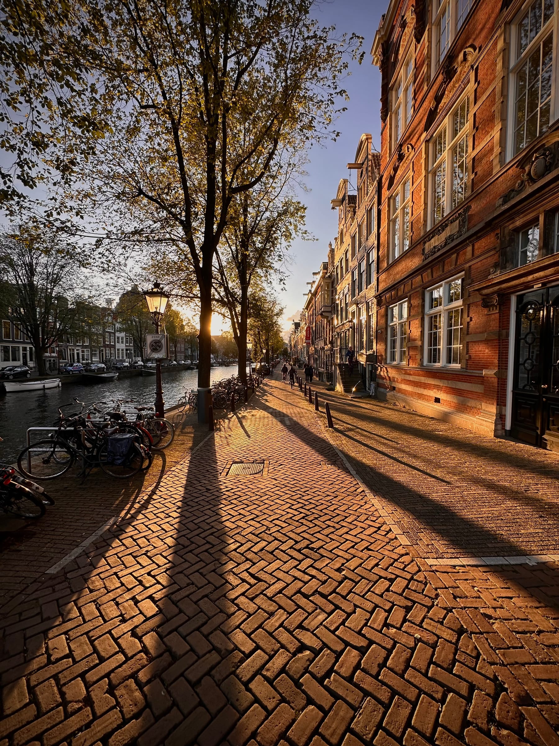 A cobbled Amsterdam street raking with long late-afternoon shadows, autumn trees and brick facades on either side.