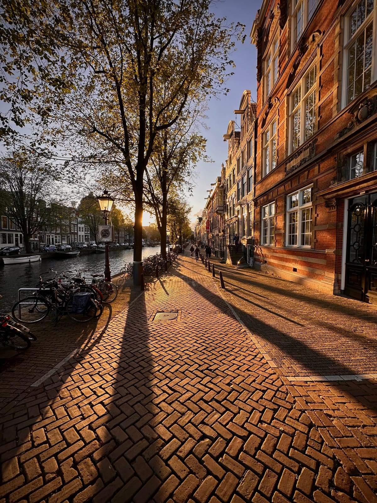 A cobbled Amsterdam street raking with long late-afternoon shadows, autumn trees and brick facades on either side.